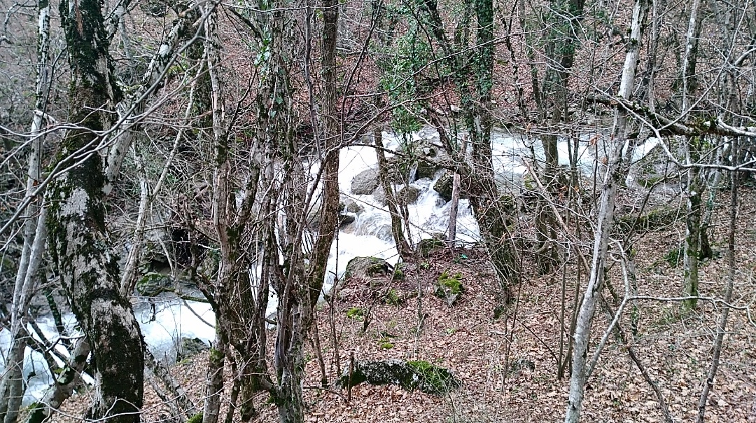 Река Улу-Узень. Фото авторов