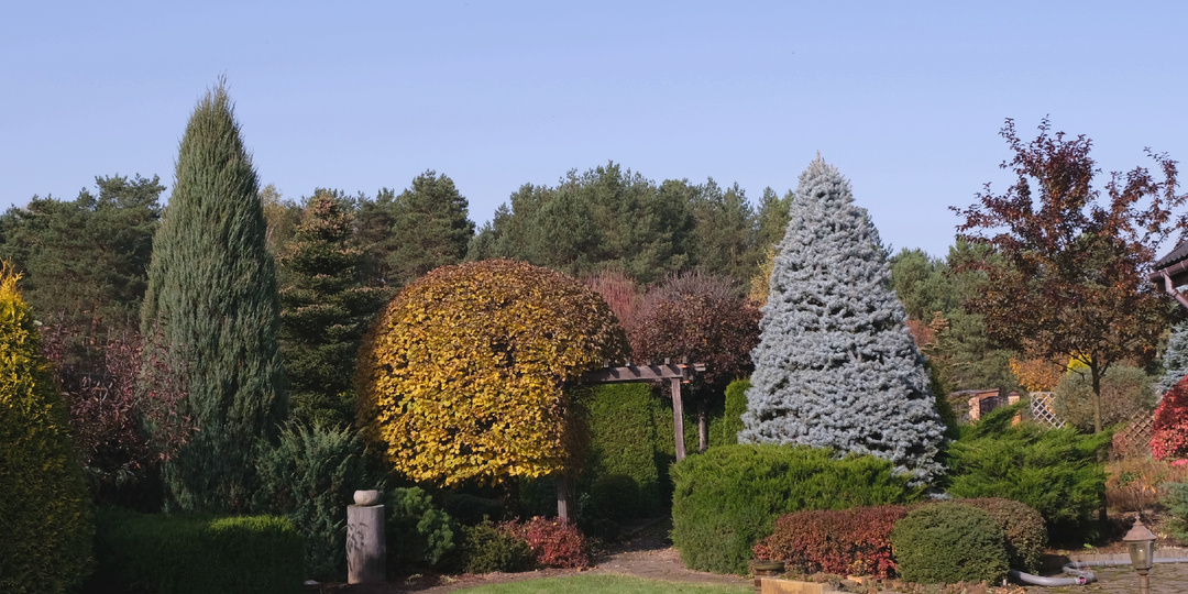 Садовый дневник: середина октября, краски осени, мой опыт с компостом
