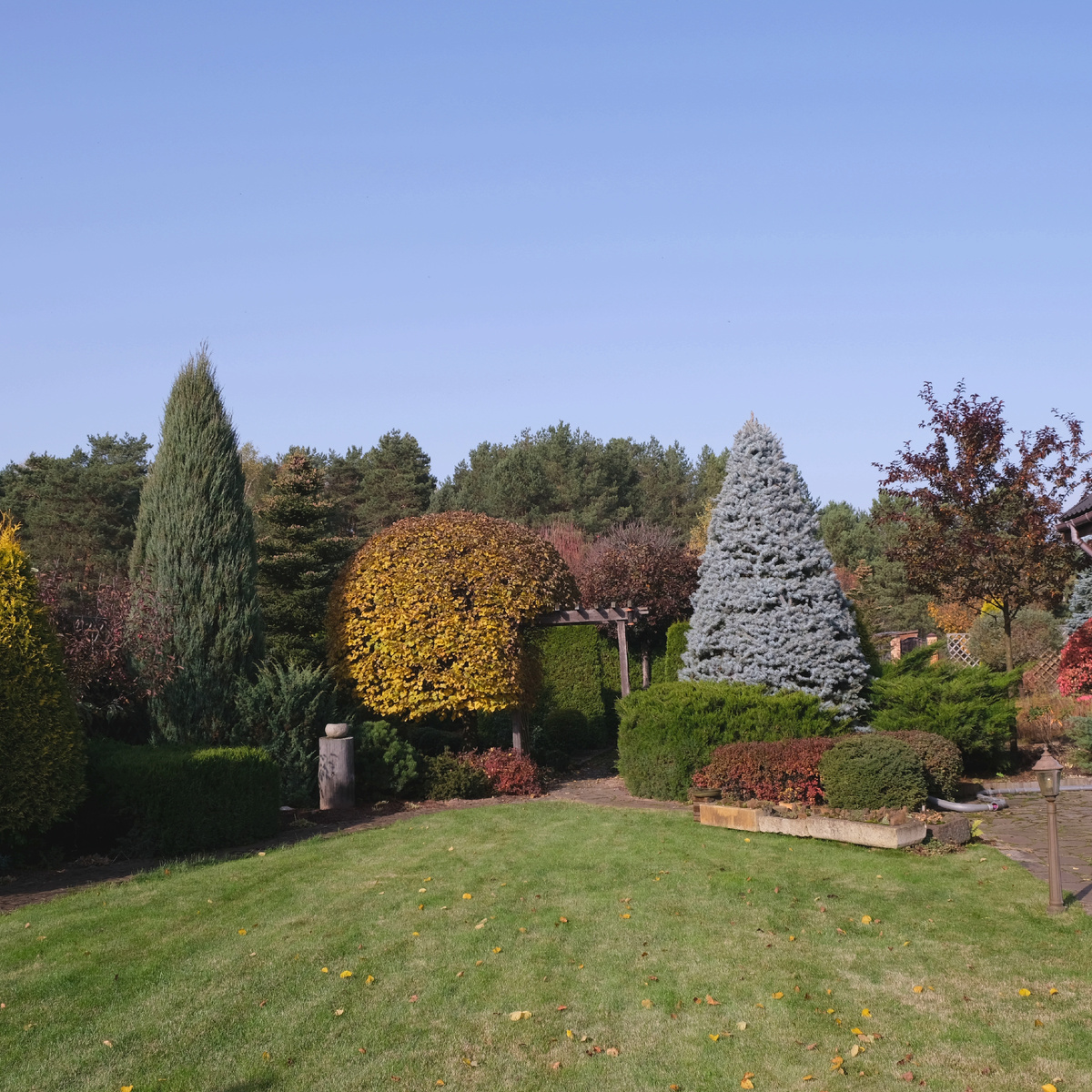 Общий вид на сад