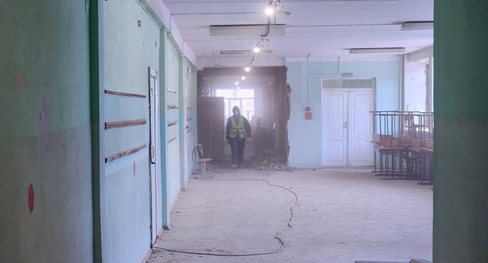    Елена Шумакова