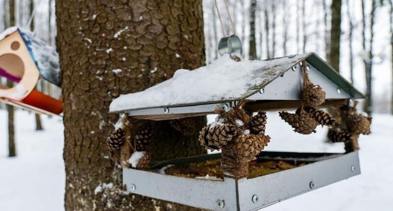    медиасток.рф