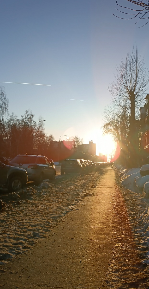 Где-то на просторах моего города. Фотография автора, февраль 2026 года. 