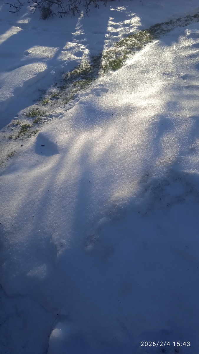 Тропинка тоже обледенела.