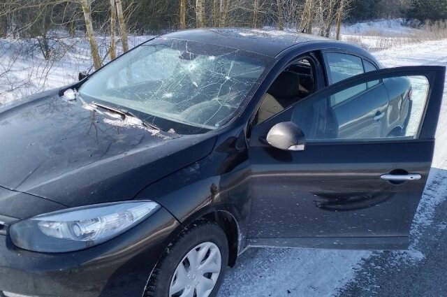    Фото: Telegram-канал Вячеслава Гладкова