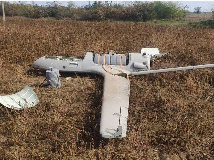     Фото: Телеграм-канал Владимира Сальдо.