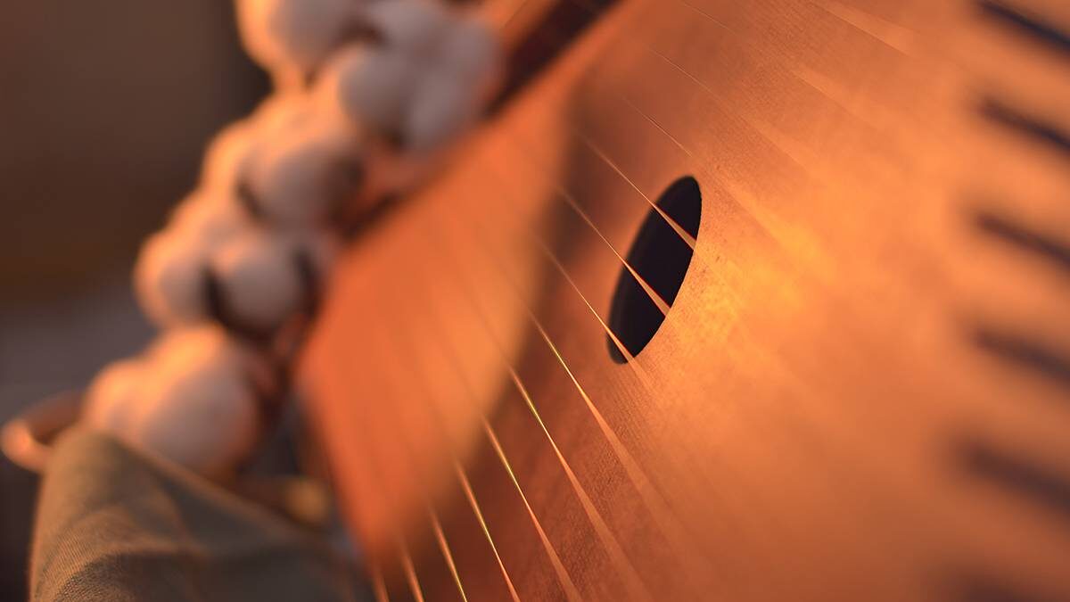    Фото: Shutterstock