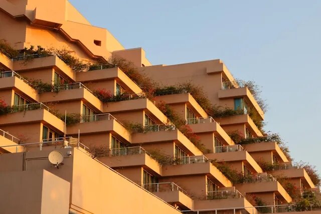    Photo by Matthew Chow on Unsplash