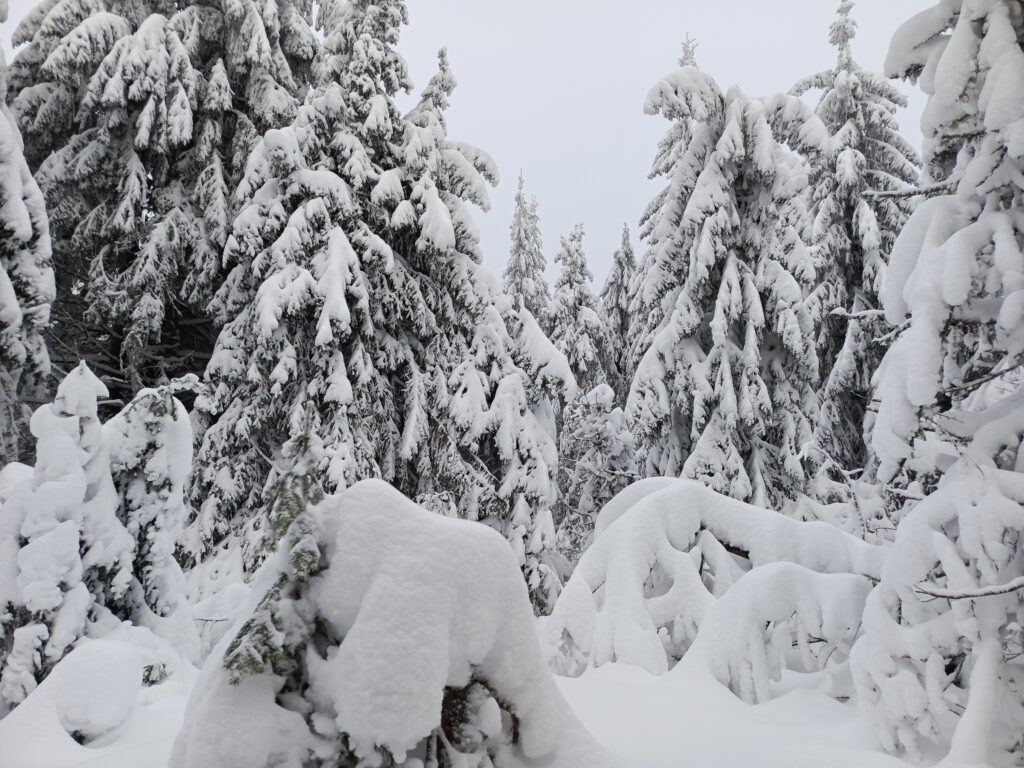    Фото: В курсе.ру Иван Фистин