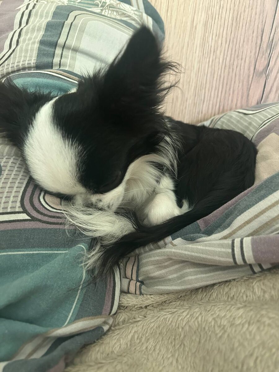 Сладкий сон, страшно тревожить.