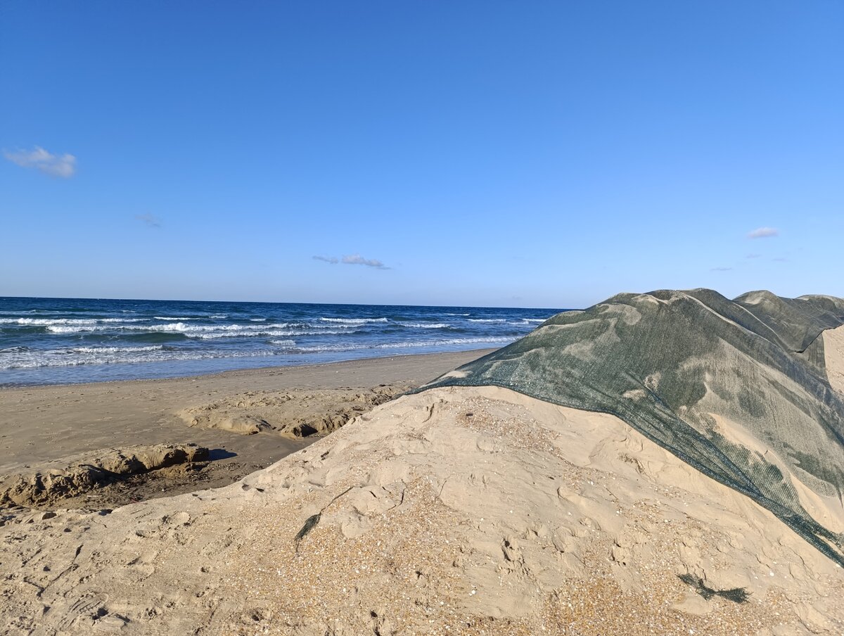    Фото: Александр Асланов/BFM Кубань