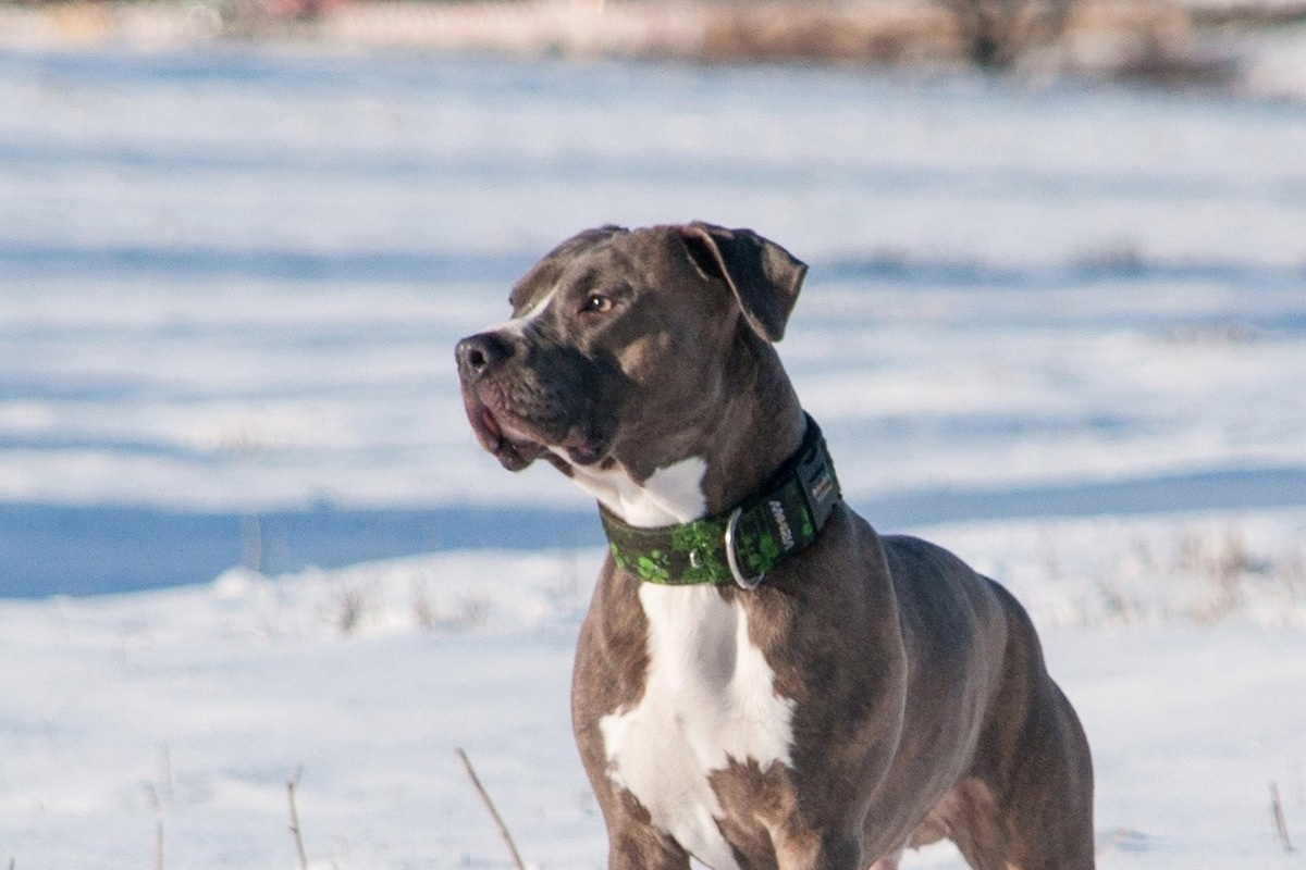    Изображение носит иллюстративный характер. Фото: susanne906 / Pixabay.com