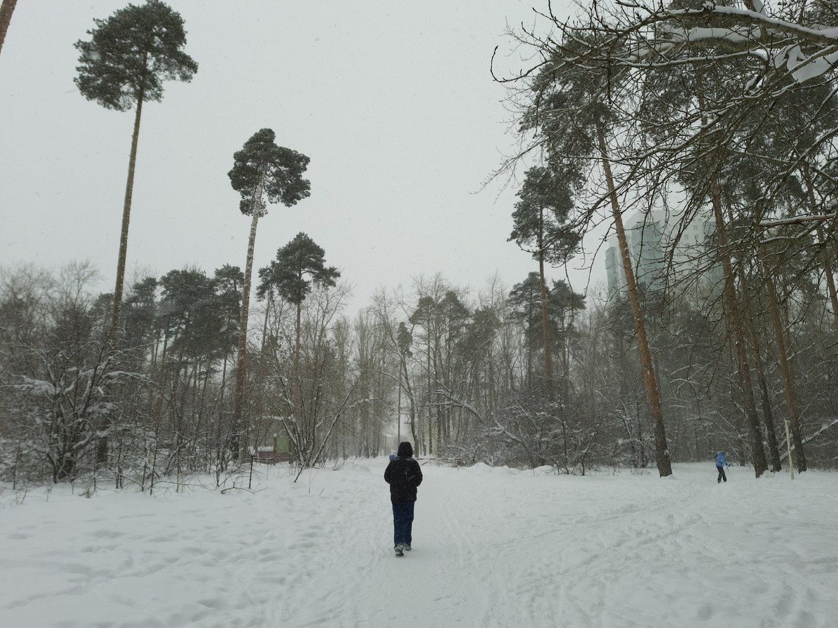 Прогулка по Черняевскому лесу в Перми