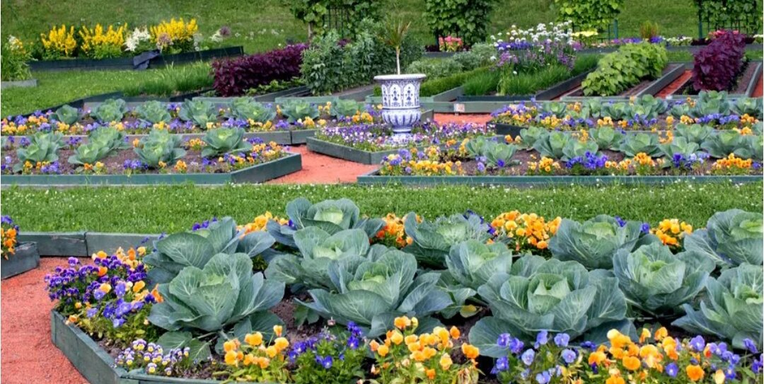 Вот она - дружба растений!