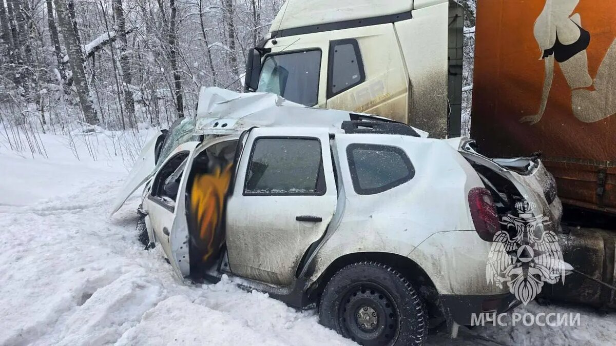    Фото: пресс-служба ГУ МЧС России по Ленобласти