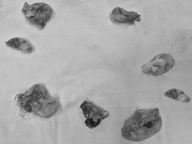    Фото: mz.mosreg.ru