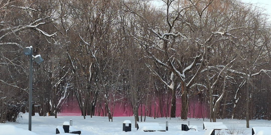 Беременная покрасила снег розовеньким.