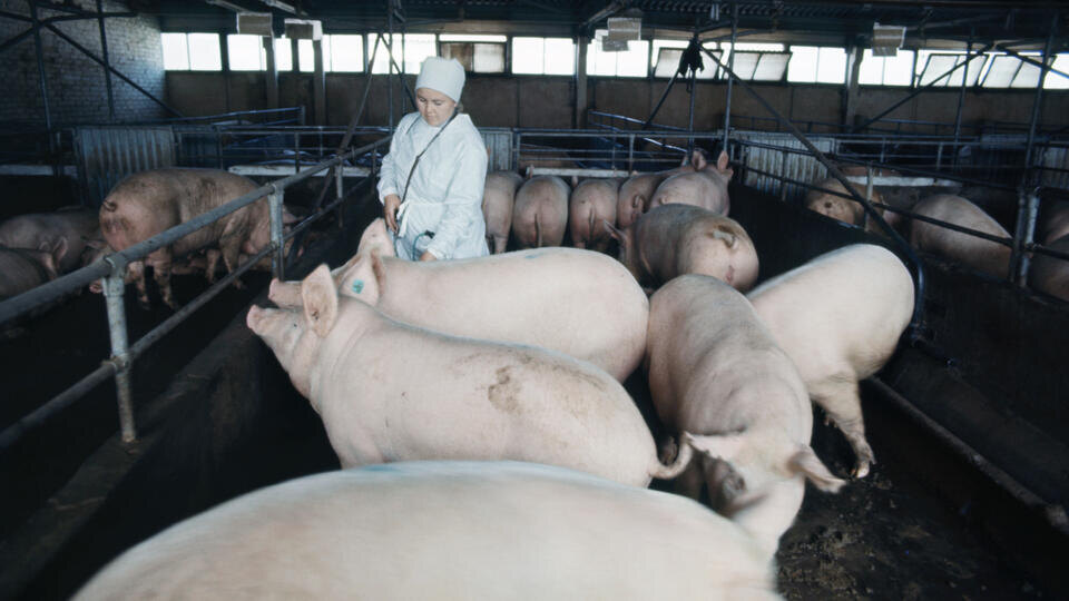ФОТО: Самохоцкий Владимир/ТАСС