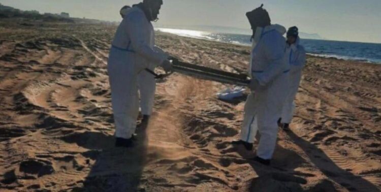 Пляжный сезон в Анапе: почему еще опасно?