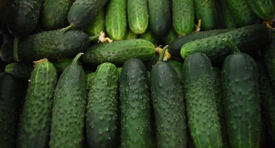    Медиасток.рф