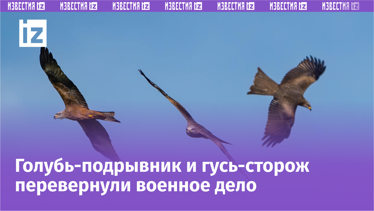 Фото / Видео: © РЕН ТВ