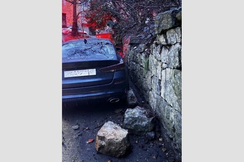 фото с яндекс