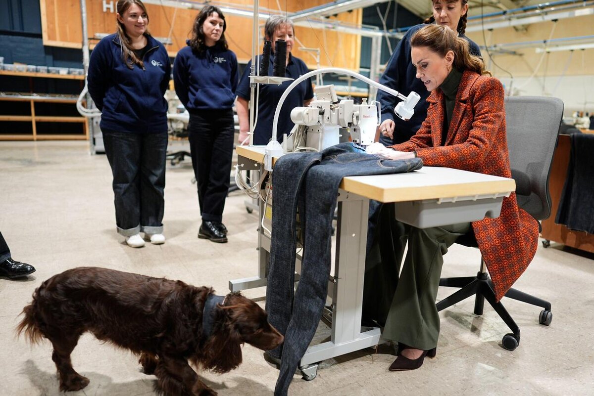    Кейт рассказала о появлении нового питомца LEGION-MEDIA