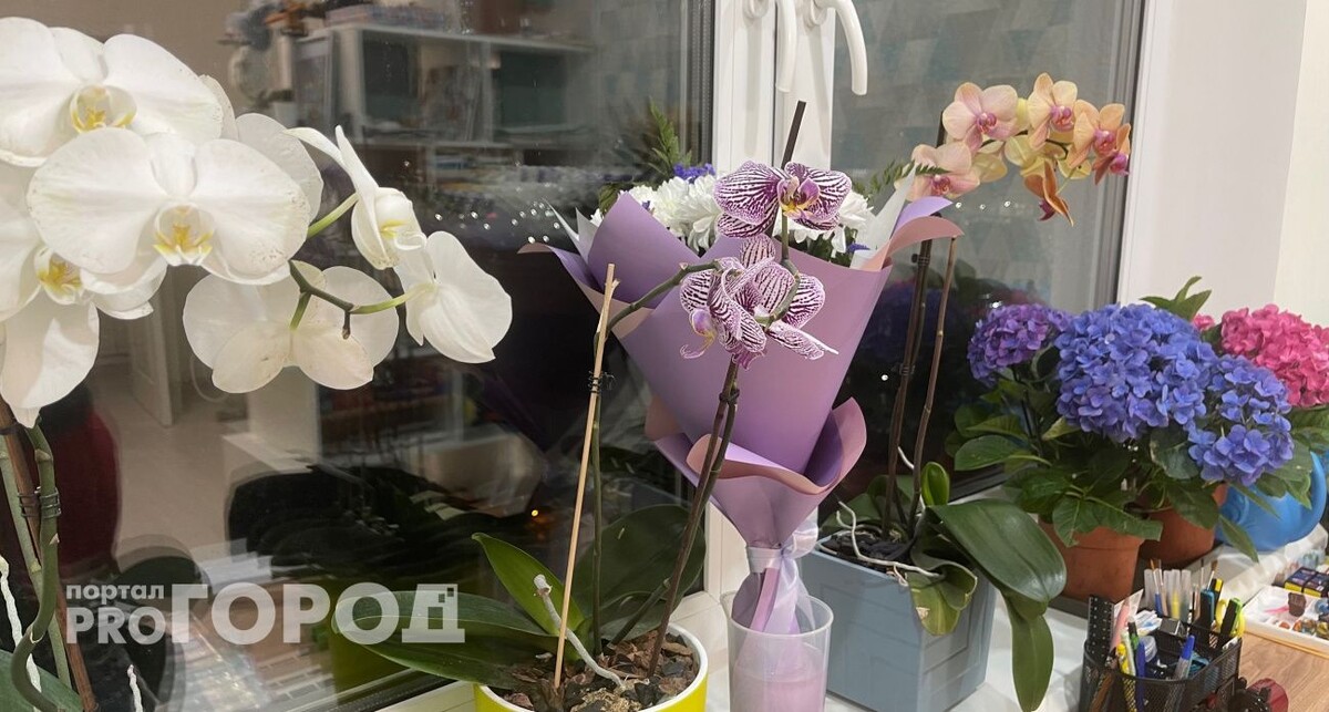    Из архива "Про Город"