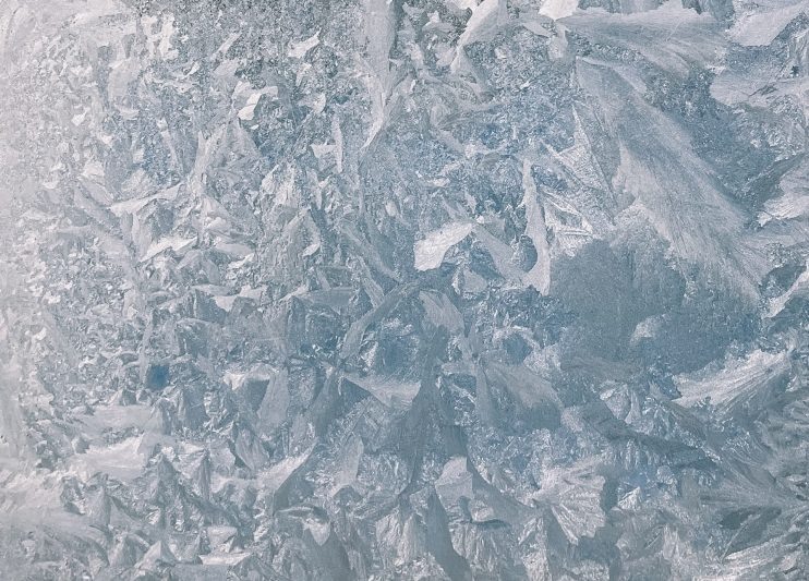 Фото: Ирина Сидоренко / «Курская правда»