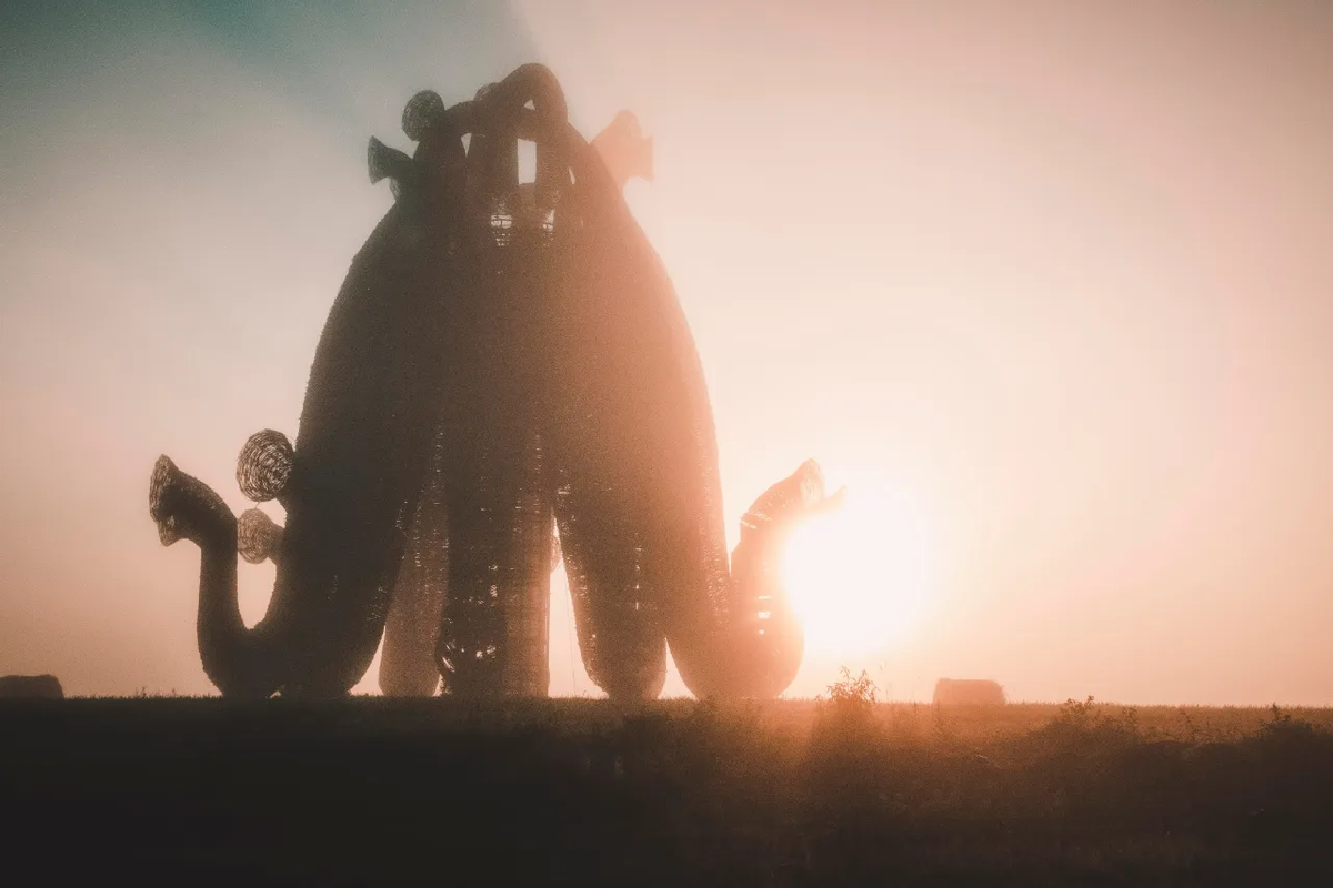 © Kadir Cobek/ shutterstock