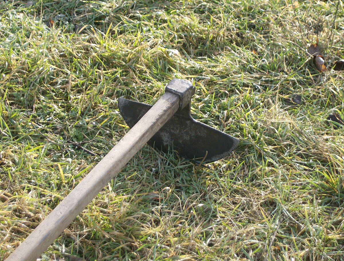 commons.wikimedia.org