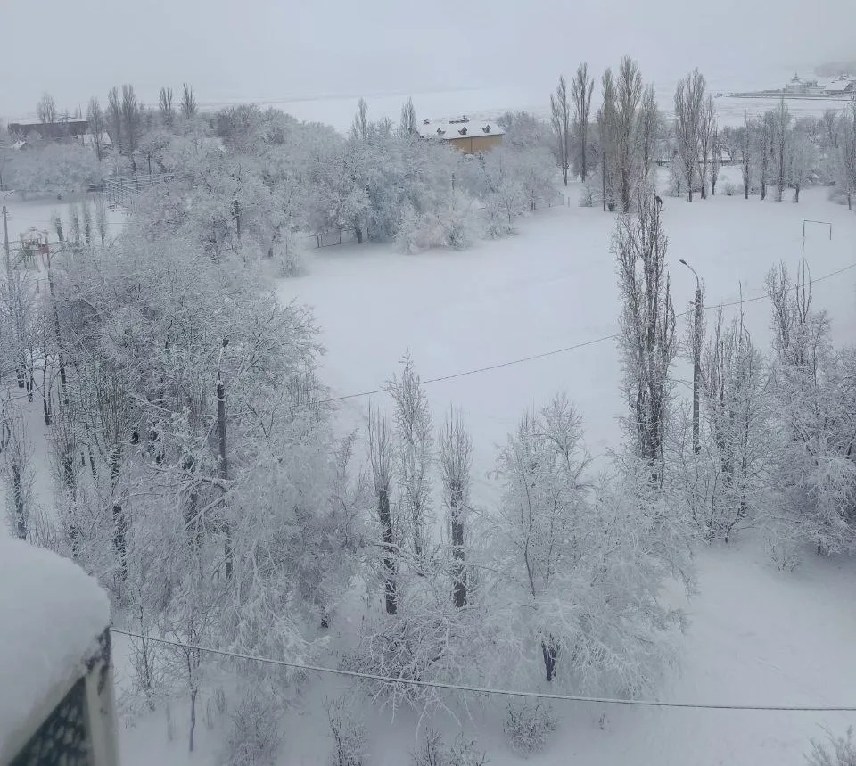 Камышинская зима ❄️