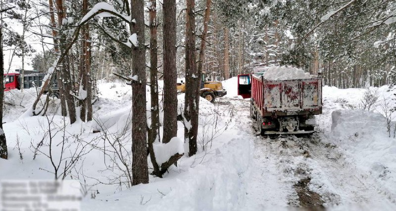    Нарушители решили свалить снег в лесном массиве в Московском районе по соображениям личного удобства и дешевизны
