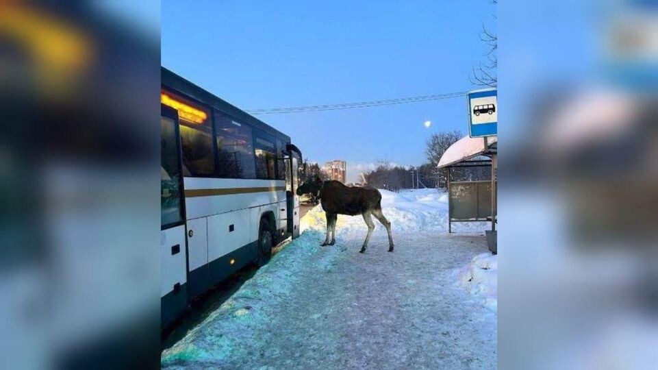  Пресс-служба Госавтоинспекции России