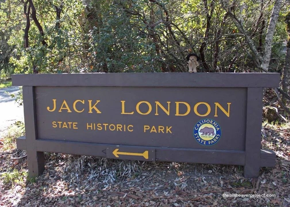 Государственный парк Джека Лондона в Калифорнии, фотография из открытых источников Яндекса