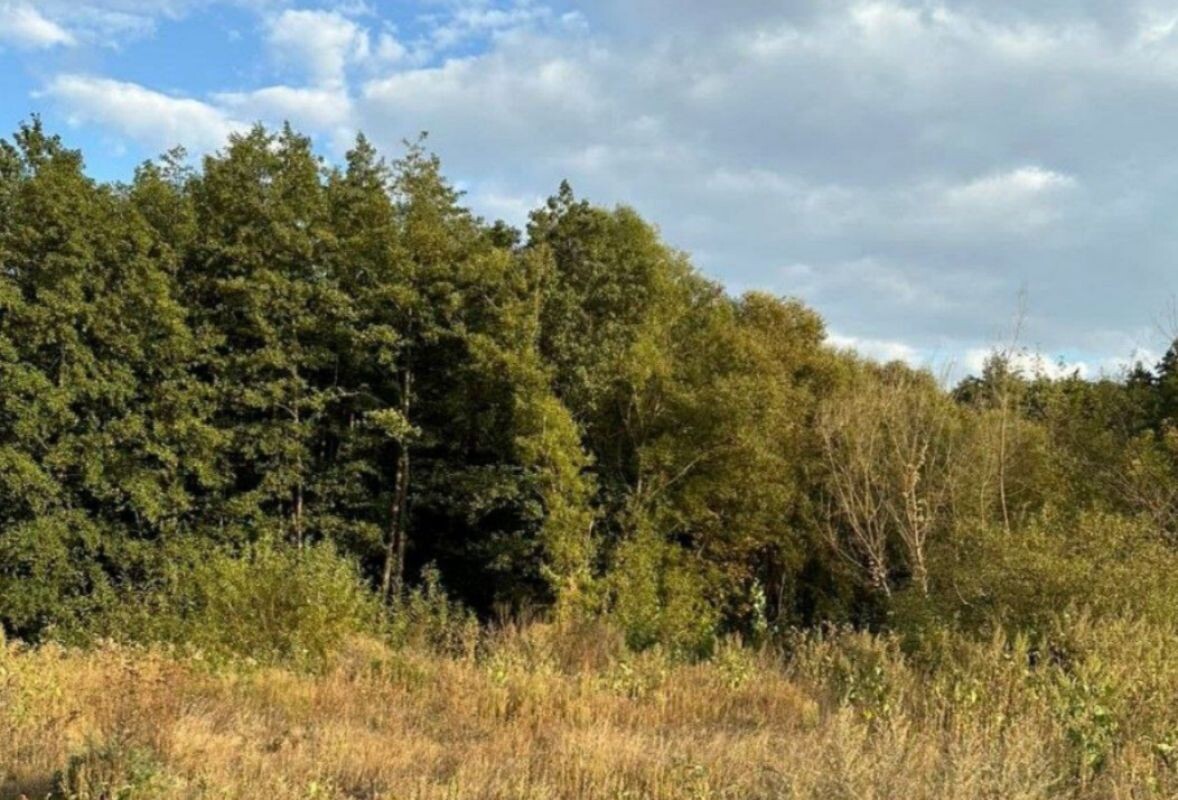    Фото: Прокуратура Воронежской области