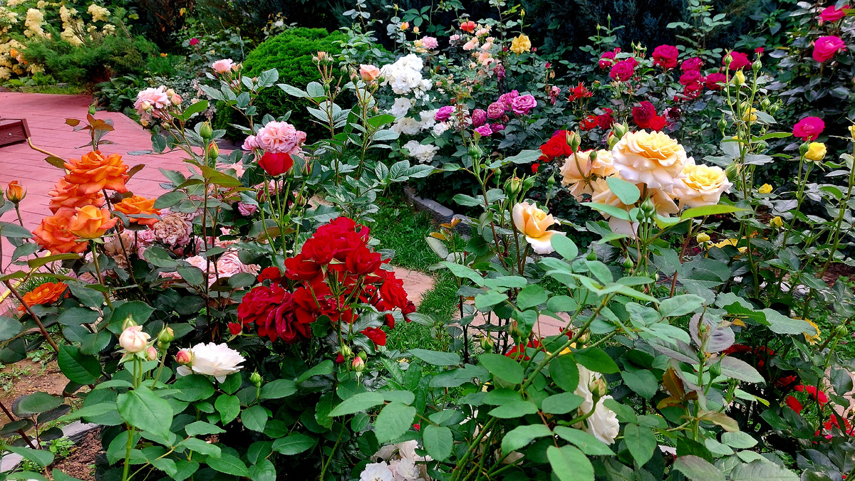 Июль 2025 года