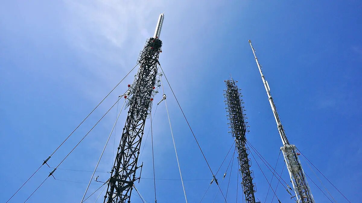    Фото: vm.ru Артем Белов