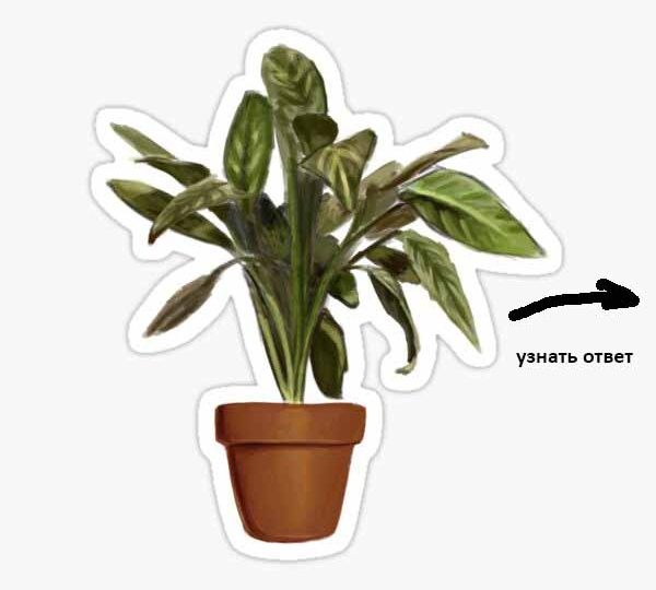 ТЕСТ: Угадай фильм по 1 детали