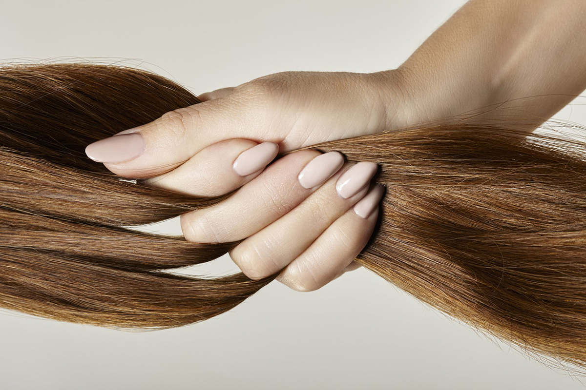 *изображение из открытых источников сети Интернет