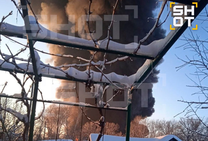 фото: @shot_shot