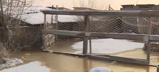     Ситуация с подтоплением домов в посёлке Интикуль остаётся напряжённой