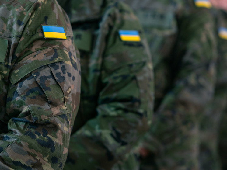     Juan Moreno/Keystone Press Agency/Global Look Press