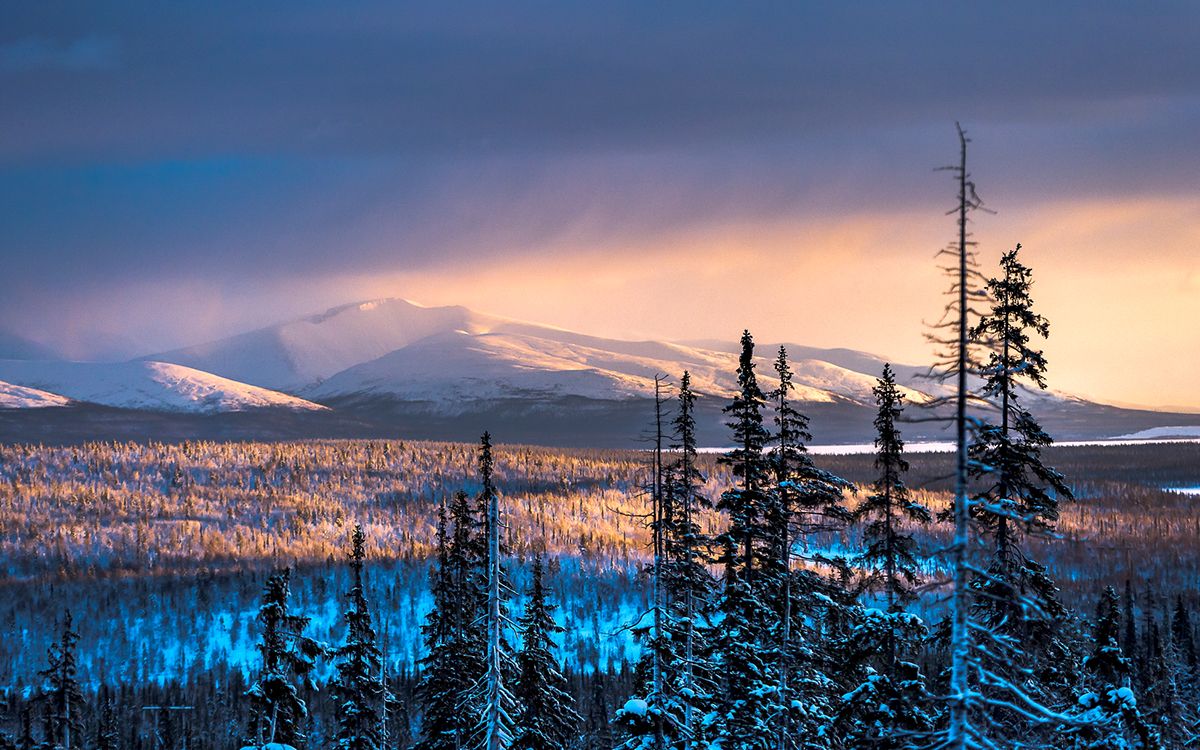 (источник: goarctic.ru)