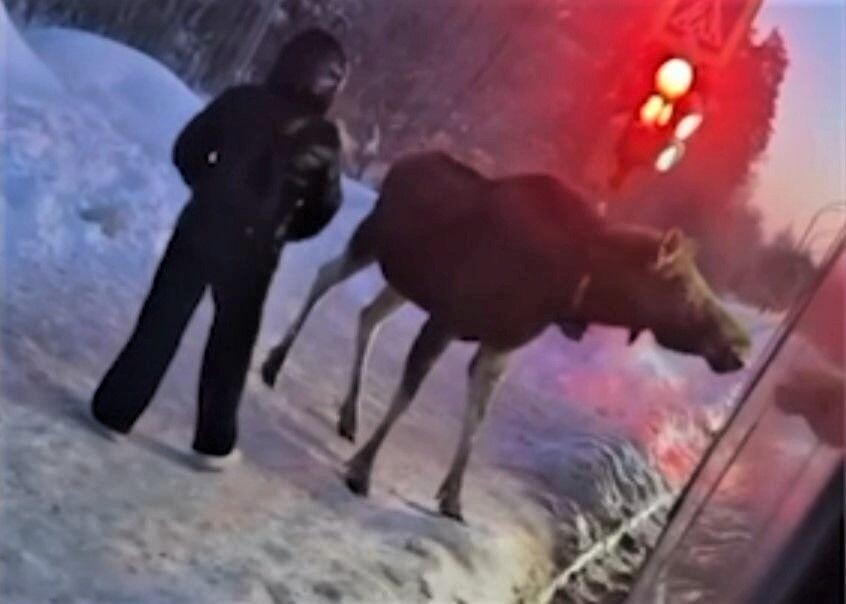     / Источник: Кадр из видео