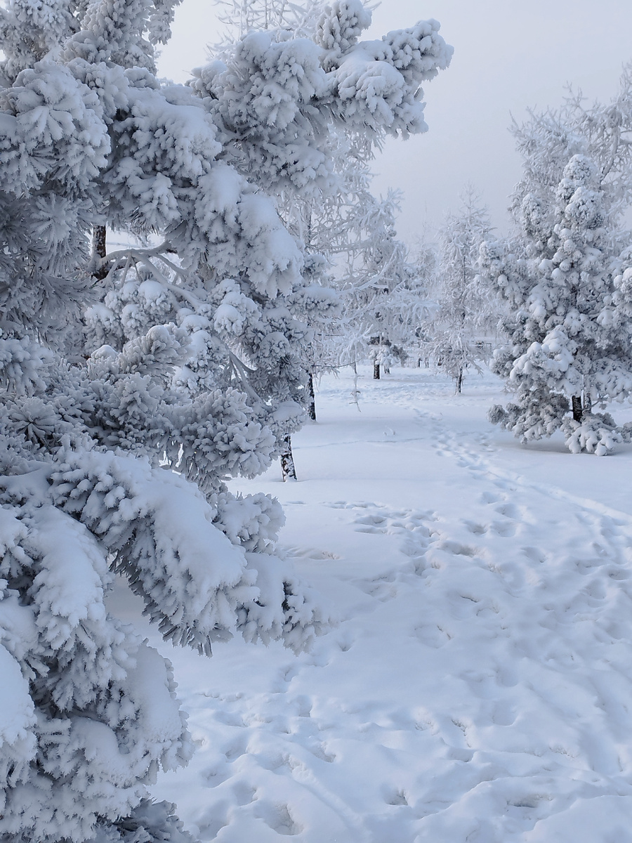 Почти Нарния. Фото из личного архива автора