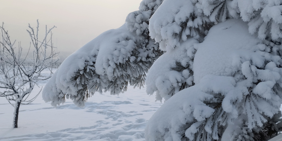 Образец сочинения ЕГЭ к варианту "Снежинки" со связью причина-следствие (незаконченное)