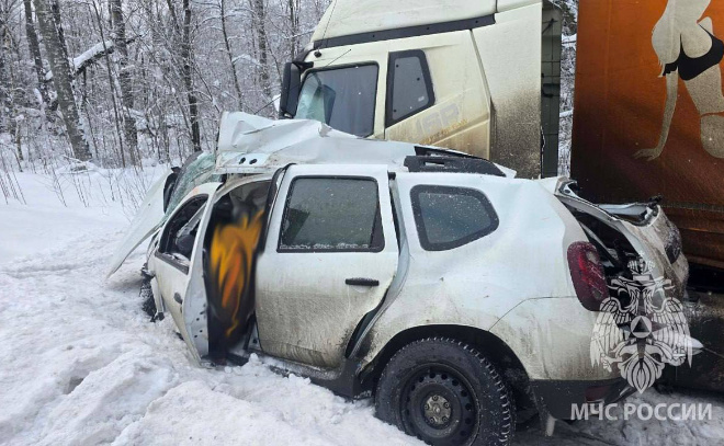    © Пресс-служба ГУ МЧС по Ленинградской области