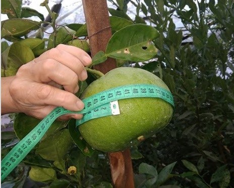 Источник: caravan-info.uz