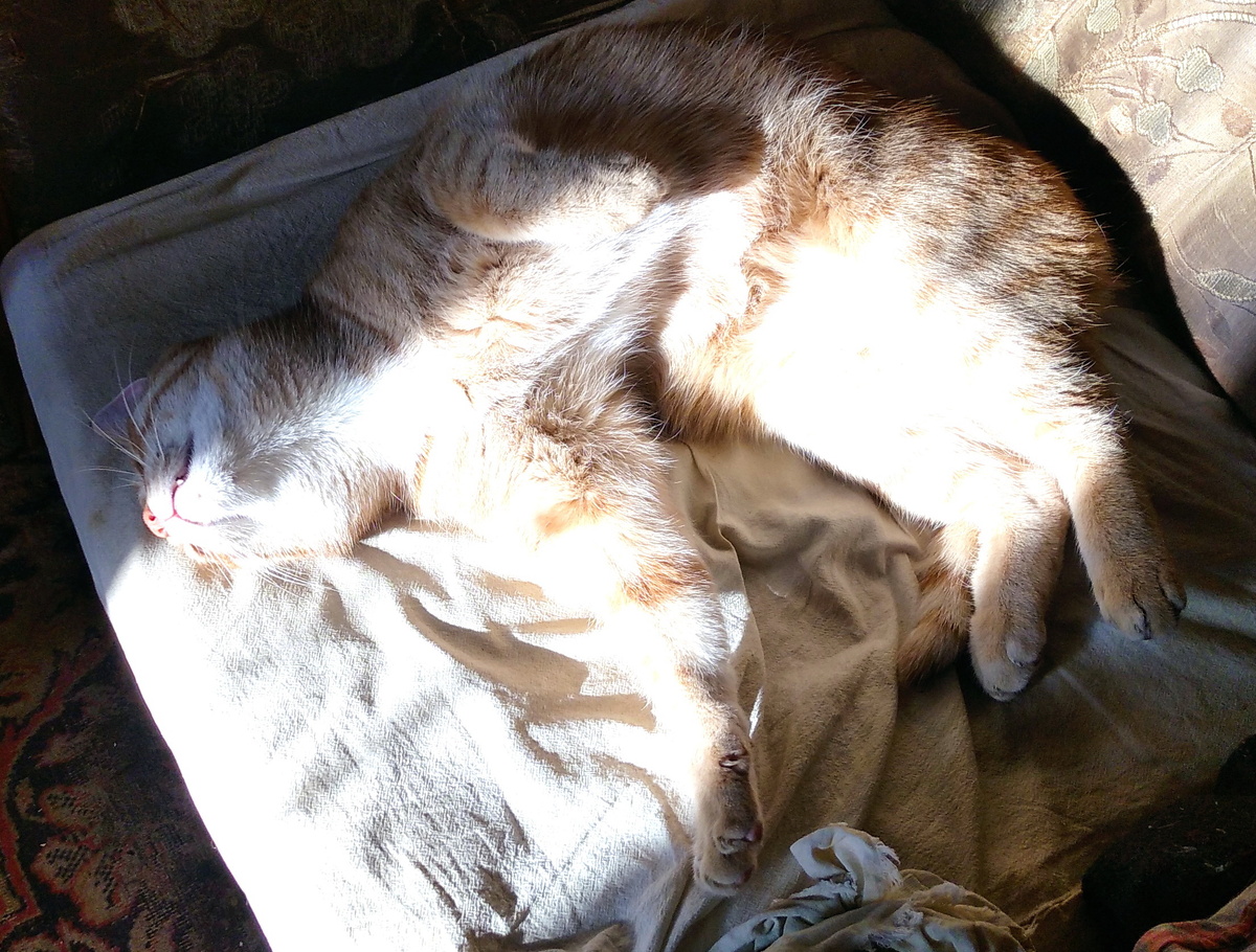 личное фото