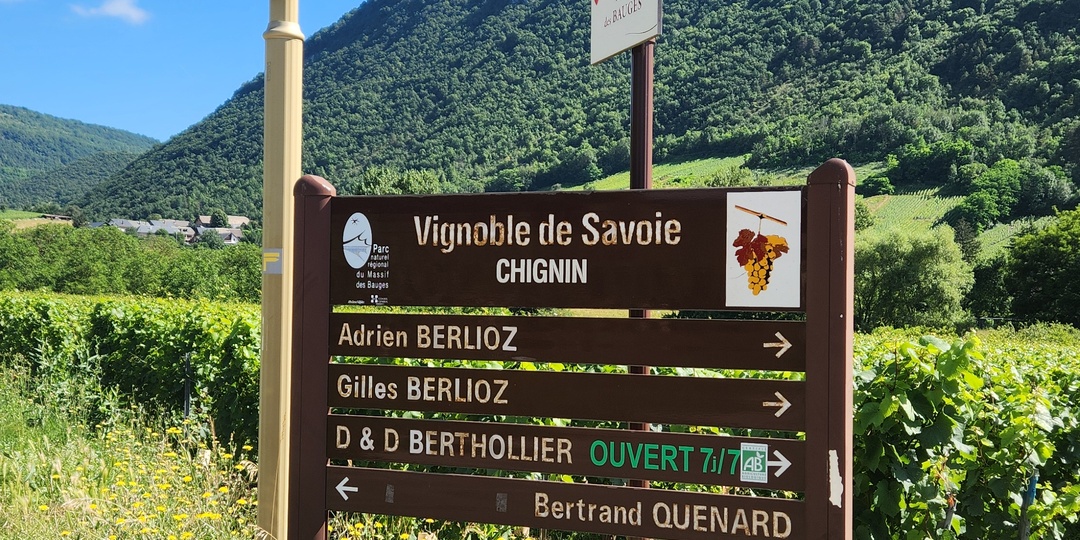 Я ползла по самому опасному винограднику Европы и чуть не потеряла сознание. А потом французы предложили запить это вином и заесть лягушками